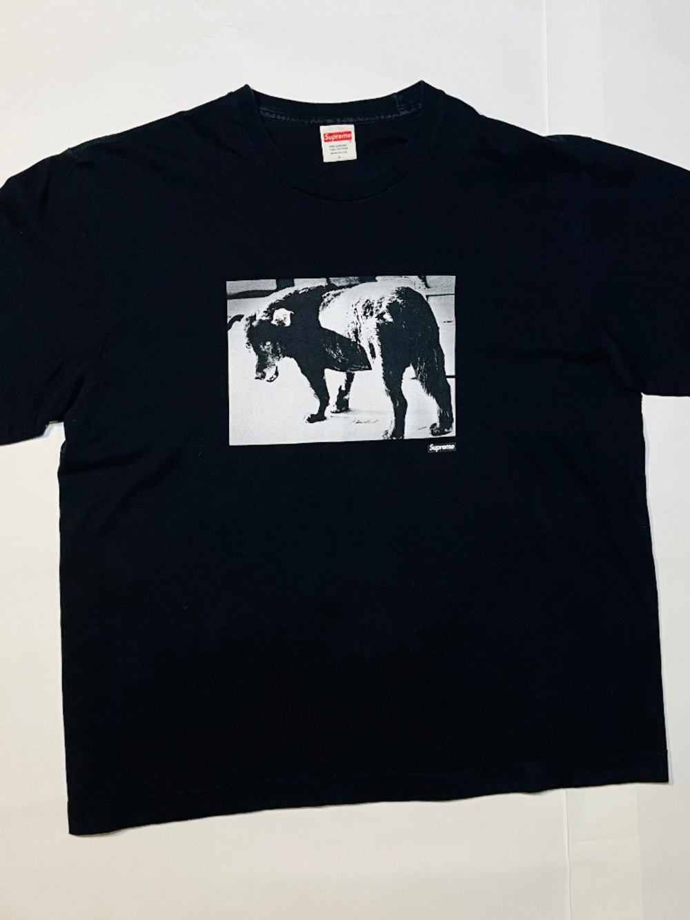 SUPREME Daido Moriyama Dog Tee "SS 22" Mens L